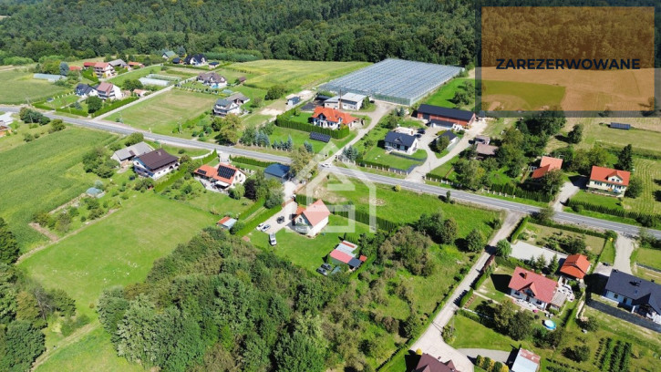 Działka Sprzedaż Trzciana 4