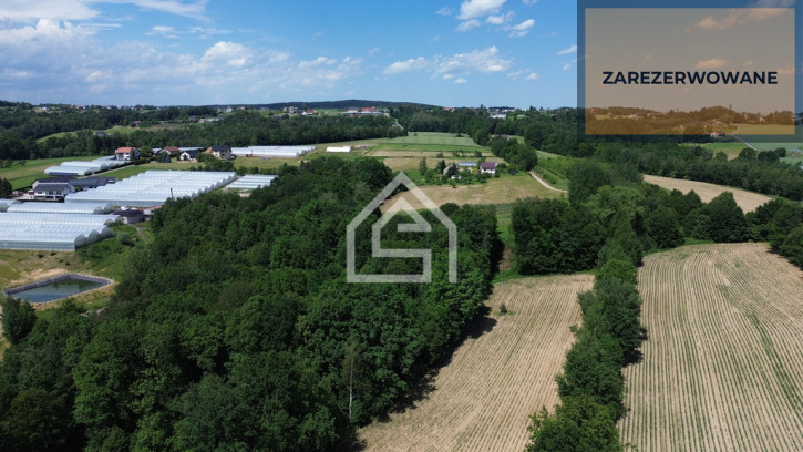 Działka Sprzedaż Trzciana 2