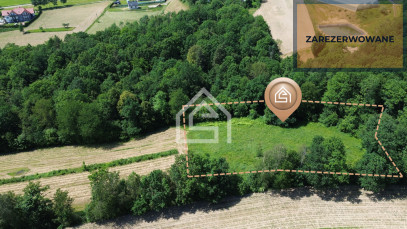 Działka Sprzedaż Trzciana