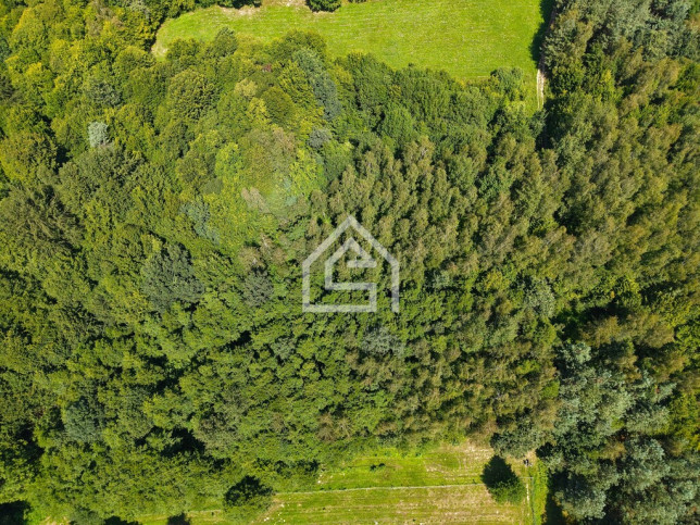 Działka Sprzedaż Królówka 7