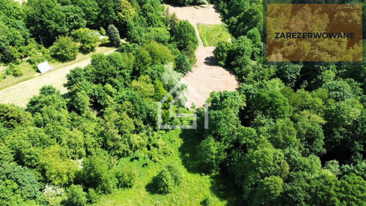 Działka Sprzedaż Łapanów 3