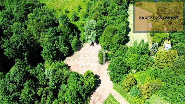 Działka Sprzedaż Łapanów 6